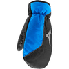 Mizuno RB Winter Mitten