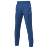 Mizuno Motion Waterrepellent Jogger Pants